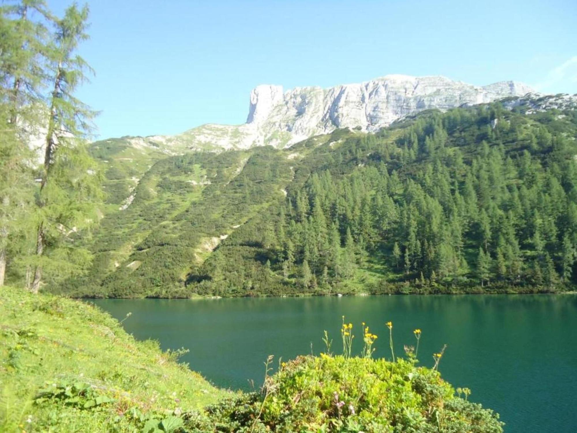 Apartment In Tauplitz With Sauna And Pool Екстериор снимка